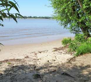 Eindrücke vom Strand am Rissener Ufer