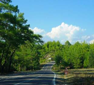 Rafting Selge Landschaft/An- & Abfahrt