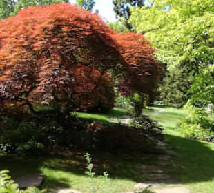 Japanischer Garten Leverkusen