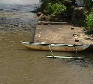 Bentota Fluss- und Mangroven Tour