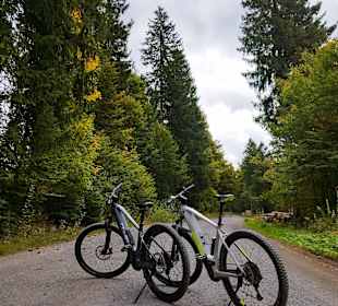Sport & Freizeit