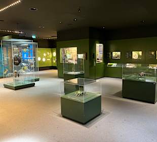 Aquazoo Löbbecke Museum Düsseldorf