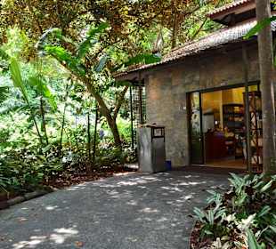 Botanischer Garten Singapur