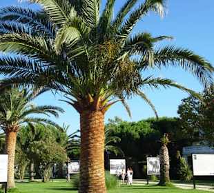 Spaziergang über die Strandpromenade Argelès-Plage