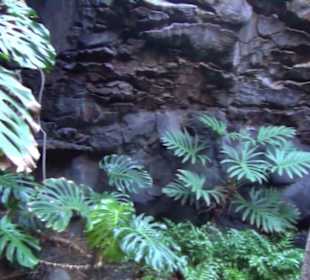 Fundacion Cesar Manrique