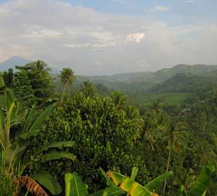 Ein schöner Ausblick