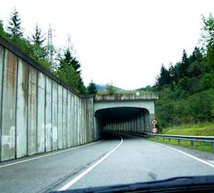Plöckenpass Ende September 2010