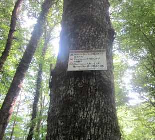 Bei der Burgruine Spesburg