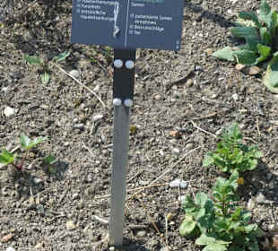 Erläuterungen der Kräuter