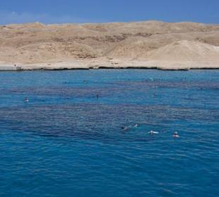 Alle zusammen beim schnorcheln