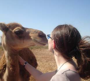 Küss mich, ich bin ein verzaubertes Kamel!