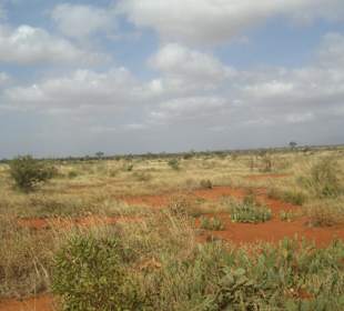 Tsavo Ost