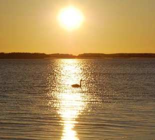 Sonnenuntergang am Achterwasser Zempin