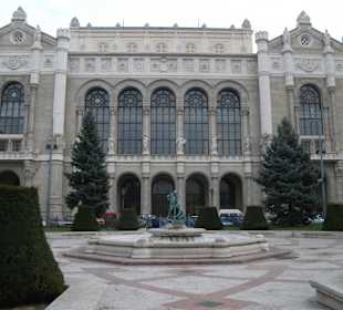 Sala koncertowa Vigado