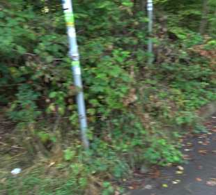 Sophienbrunnen von 1839 