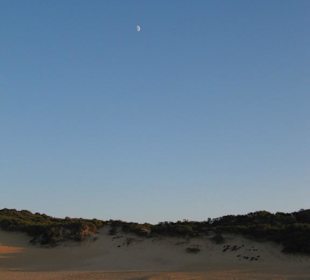 Le dune