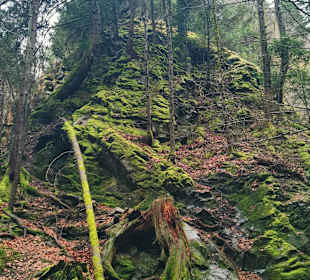 Gartenanlage