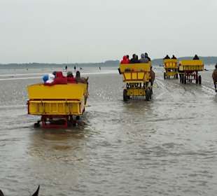 Wattwagenfahrt Insel Neuwerk
