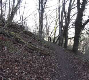 Wanderweg zur Achalm