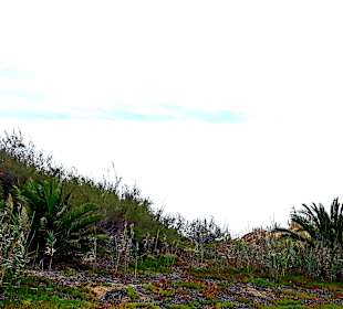 Inseltour Porto Santo