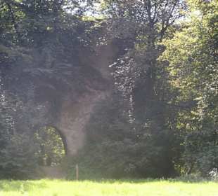 Ruine Kloster Tönisstein