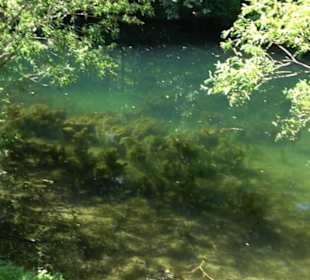 Mittlerer Gönninger See