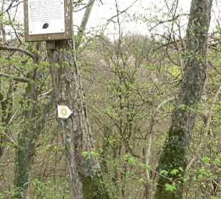 Wanderung rund um das Rusenschloss Gerhausen