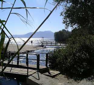 Flussmündung im Gegenlicht