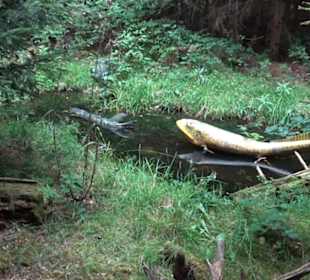 Dinosaurier Museum Altmühltal