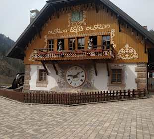 Wandern Hinterzarten