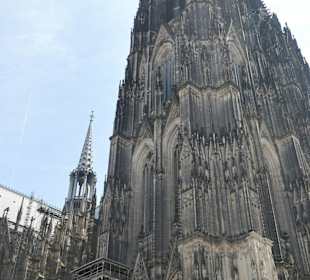 Blick zum Kölner Dom