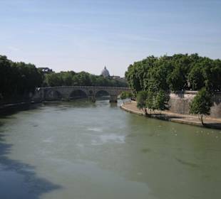 Der Tiber - ein Bild der Ruhe
