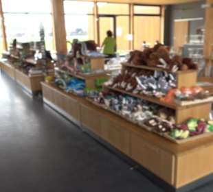 Dinosaurier Museum Altmühltal