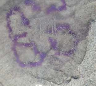 Qallen gibt es häufig