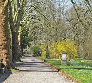 Rundgang über den Lindener Bergfriedhof