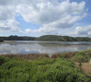 Wanderung durch Es Grau 