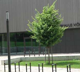 Tonauhalle Vöhringen