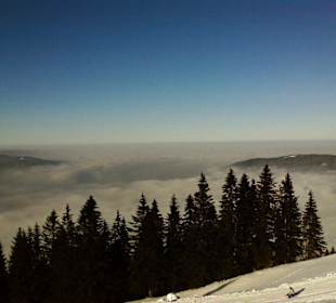 Wallberg schöne Aussicht