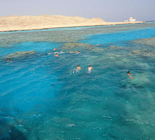 Šnorchlování u ostrova Midun 