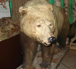 Muzeum figur zwierząt 