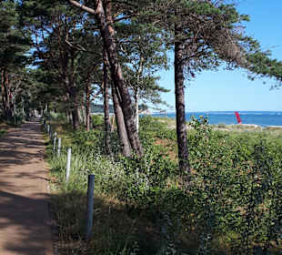 Wandern Baabe [Rügen]