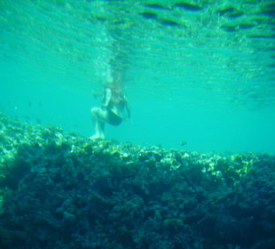Snorkling sulla barriera corallina