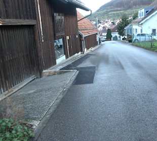 Obstbaumuseum Glems