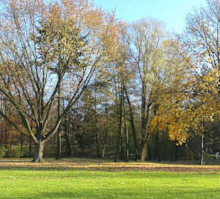 Traumhaftes Herbstwetter