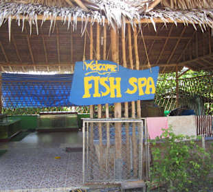 Fish Spa als Alternative