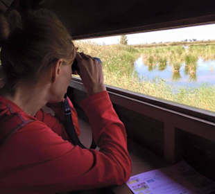 Blick in die Flamingo-Lagune