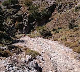 Wanderung durch die Imbros Schlucht