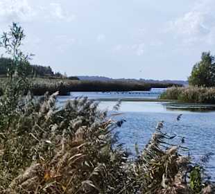 Stadtrundgang Huizen