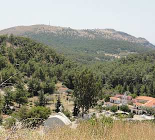 Moni Ipseni