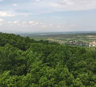 Schöne Ausblickee ins Wr.Becken
